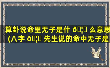 算卦说命里无子是什 🦟 么意思(八字 🦄 先生说的命中无子是什么意思)